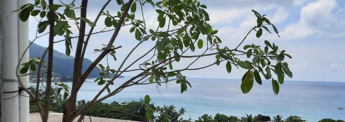 Northwest Bay Seaview Apartment Beau Vallon  Eksteriør bilde